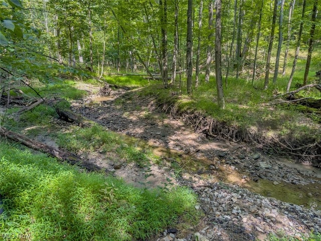 10585 Whitewood Rd, Brecksville, OH 44141 - photo 11