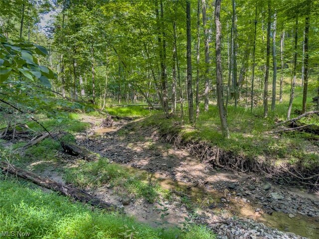 10585 Whitewood Rd, Brecksville, OH 44141 - photo 12