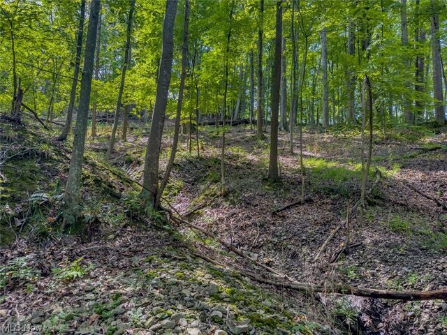10585 Whitewood Rd, Brecksville, OH 44141 - photo 13