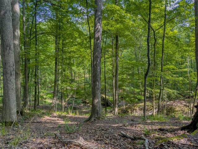 10585 Whitewood Rd, Brecksville, OH 44141 - photo 14