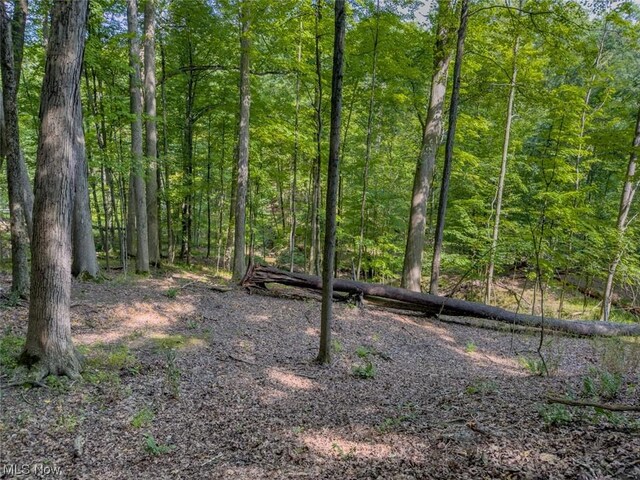 10585 Whitewood Rd, Brecksville, OH 44141 - photo 15