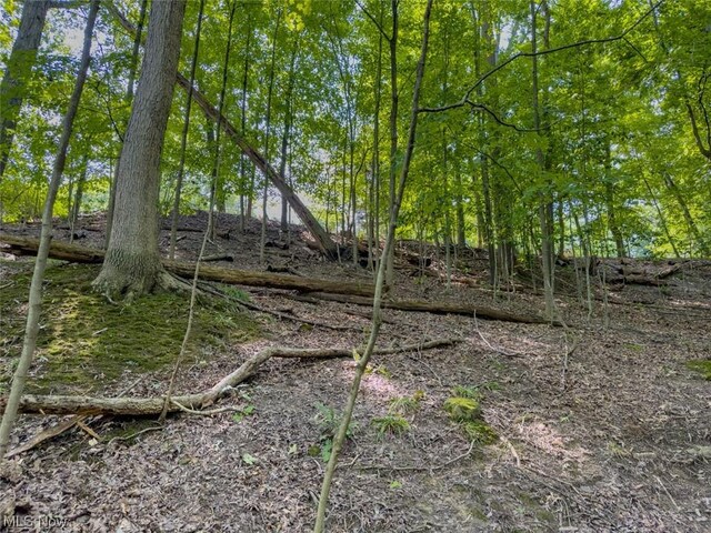 10585 Whitewood Rd, Brecksville, OH 44141 - photo 16