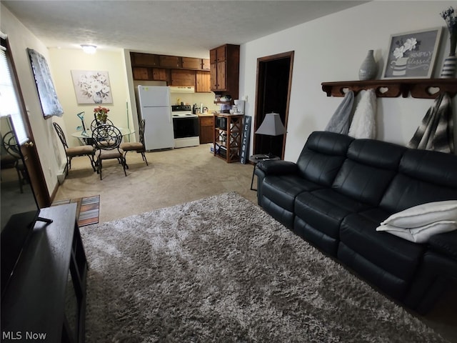 carpeted living room with a textured ceiling