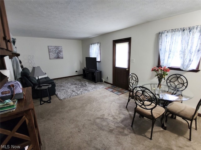 carpeted living room with a textured ceiling