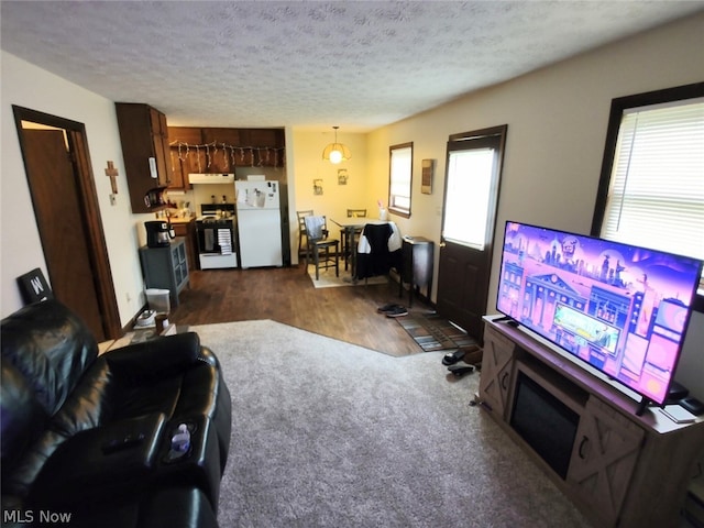 living room with a textured ceiling, dark wood-type flooring, and a wealth of natural light