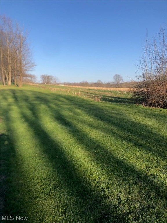 view of yard with a rural view