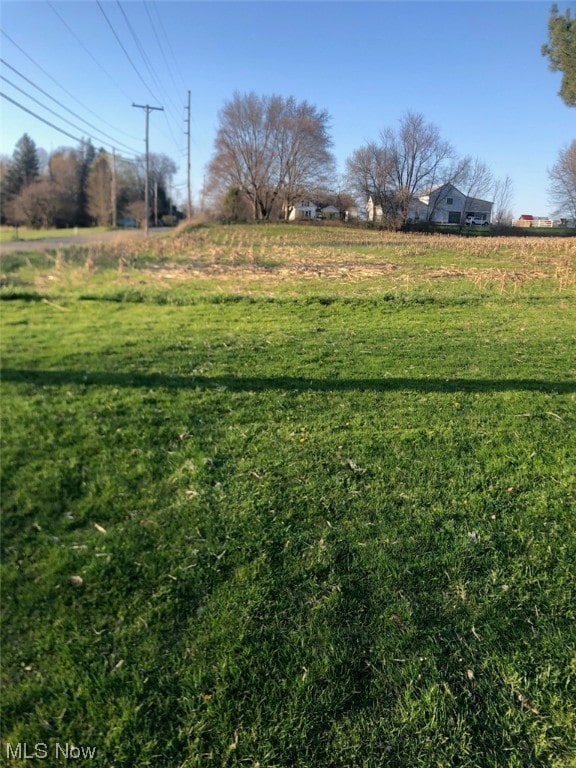 view of yard with a rural view