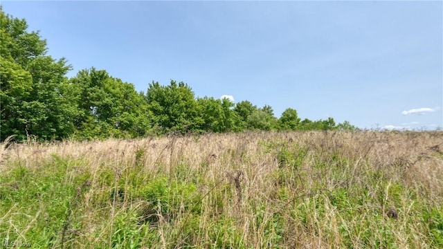 63620 Wintergreen Rd, Lore City, OH 43755 - photo 7