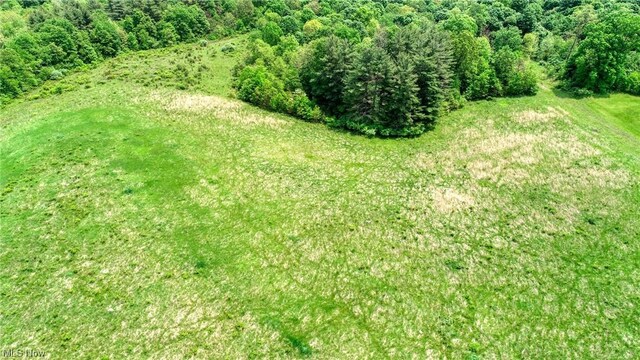 63620 Wintergreen Rd, Lore City, OH 43755 - photo 3