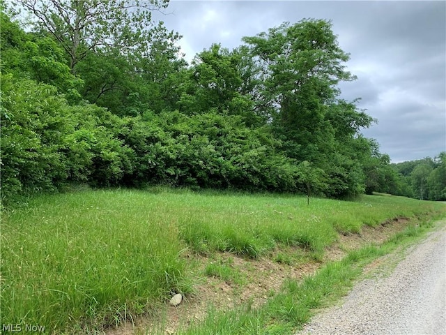 3955 Wedgewood Dr, Mcconnelsville, OH 43756 - photo 9