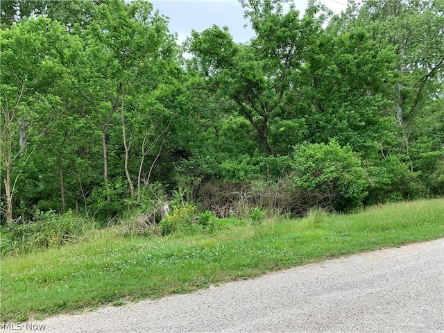 3955 Wedgewood Dr, Mcconnelsville, OH 43756 - photo 8