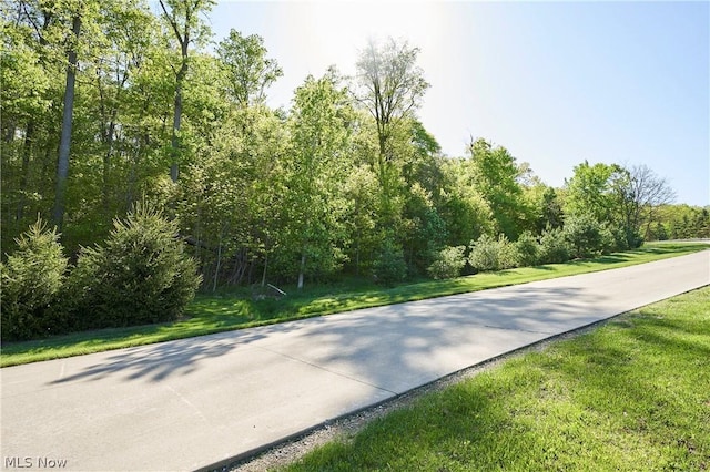 1121 River Valley Trl, Hinckley, OH 44233 - photo 2