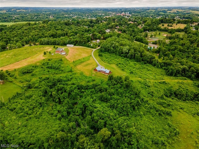 drone / aerial view