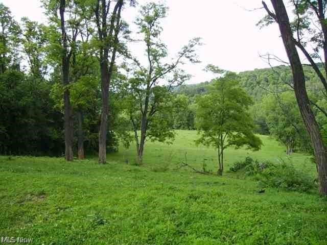 0 Frankfort Rd, New Cumberland WV, 26047 land for sale