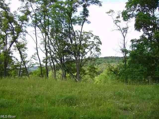 Listing photo 3 for 0 Frankfort Rd, New Cumberland WV 26047