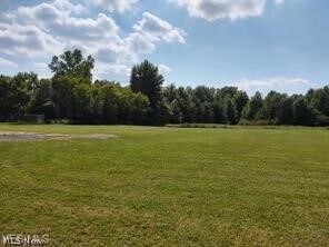 697 Main St, Grafton, OH 44044