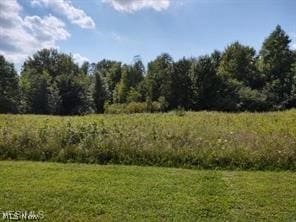 697 Main St, Grafton, OH 44044