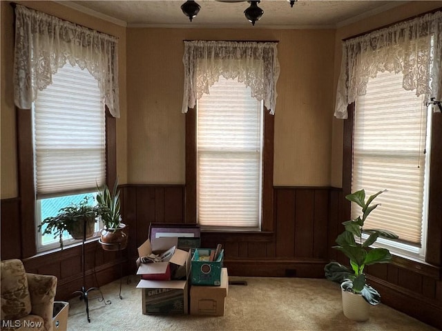911 Grandview Ave, New Matamoras, OH 45767 - sitting room featuring ornamental molding, carpet, wooden walls, and wainscoting