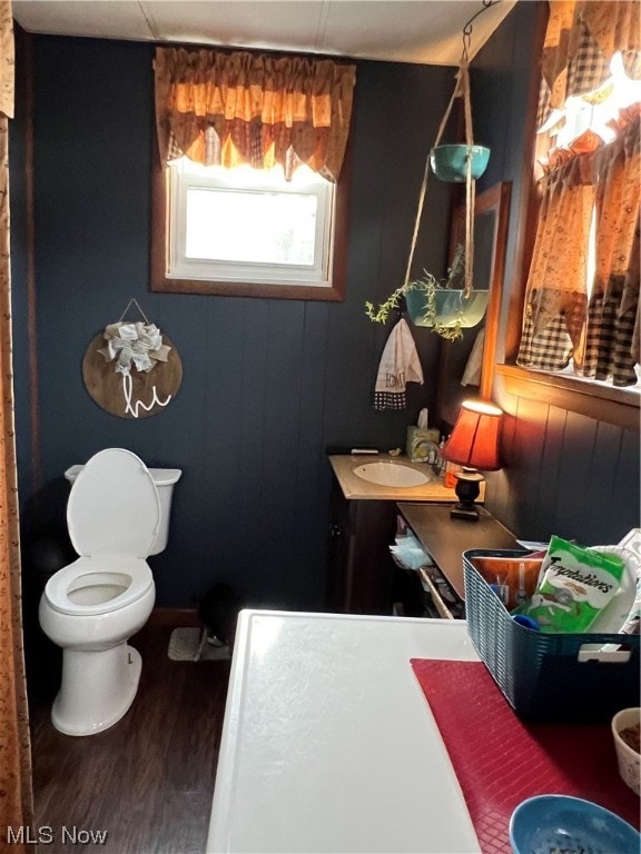 bathroom with wood-type flooring, vanity, and toilet