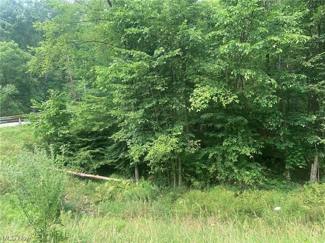 47752 Chippewa Trl, Negley, OH 44441