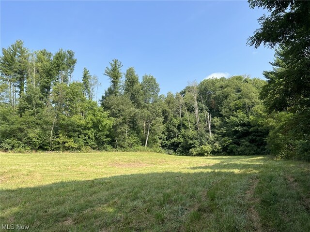 44876 State Route 517, Columbiana, OH 44408 - photo 14