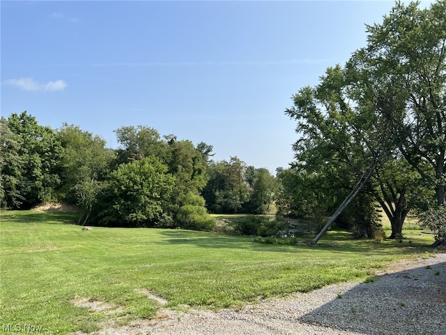 44876 State Route 517, Columbiana, OH 44408 - photo 10