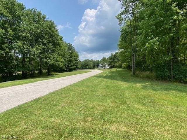 1 Nezbar Dr, Warren, OH 44481 - photo 6