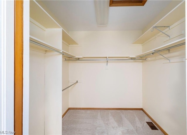 walk in closet with light carpet