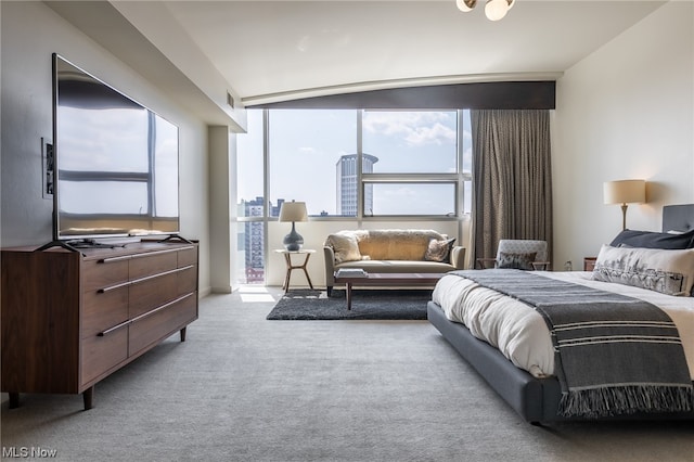 carpeted bedroom with multiple windows