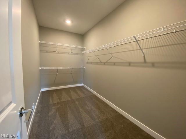 walk in closet featuring dark colored carpet