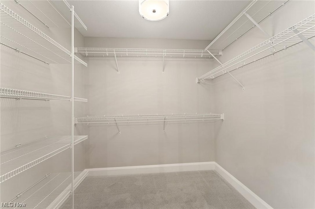 spacious closet with carpet floors