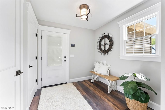 foyer entrance with dark wood-type flooring