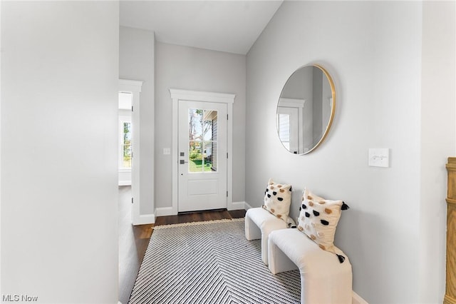 foyer entrance featuring dark hardwood / wood-style flooring