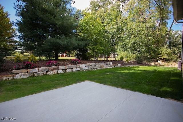 view of yard with a patio area