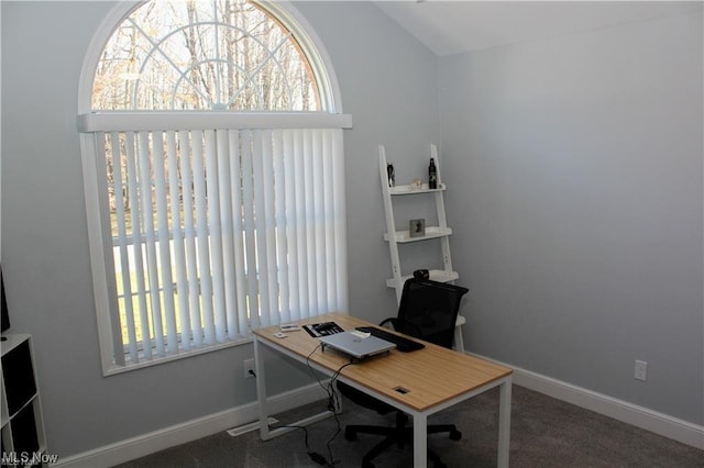 home office with dark colored carpet