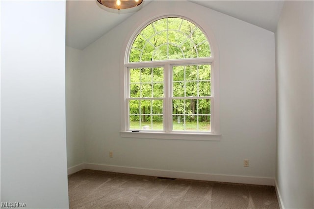 unfurnished room with lofted ceiling and carpet flooring