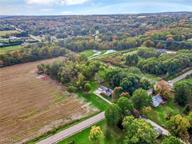 bird's eye view