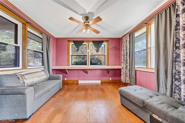 living room with ceiling fan, light wood-type flooring, and ornamental molding