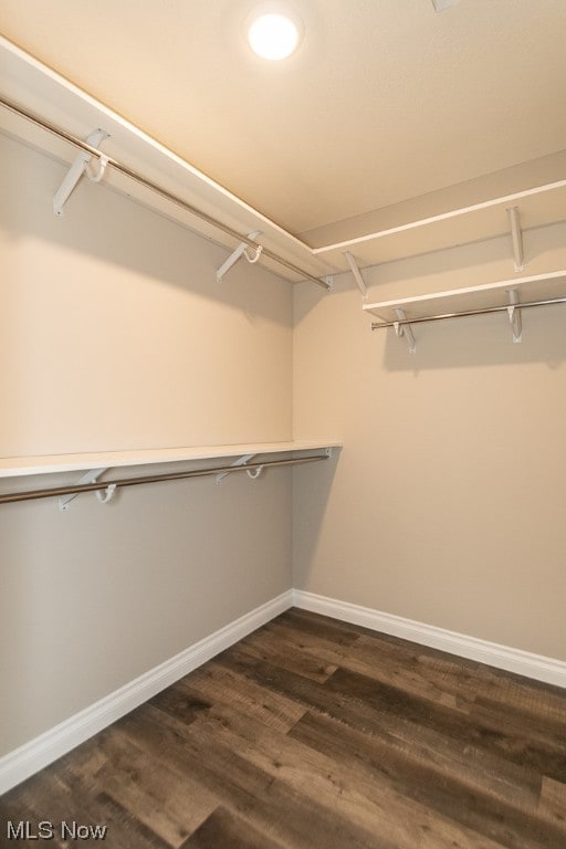 spacious closet featuring dark wood-type flooring