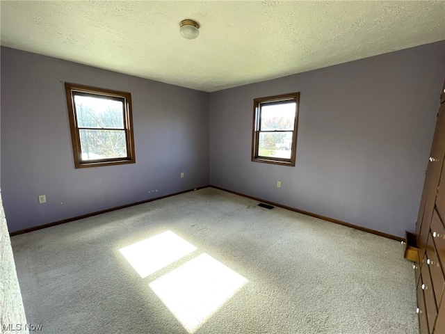 spare room with carpet flooring and a textured ceiling