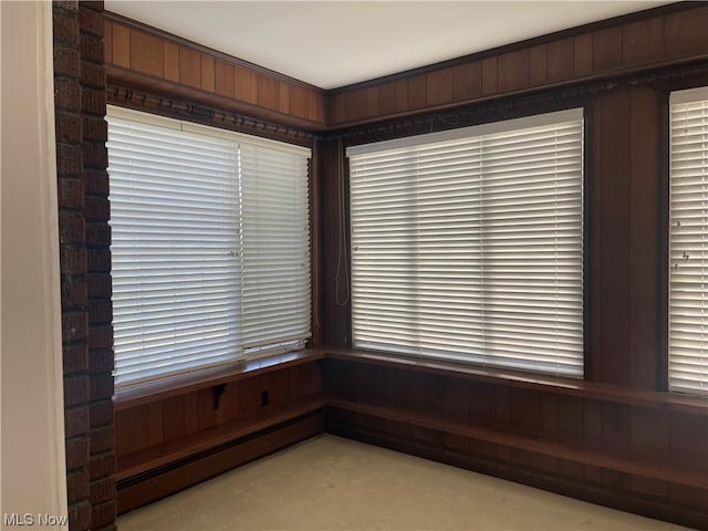 interior space featuring baseboard heating, wood walls, and carpet