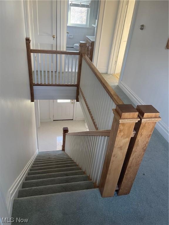 stairway featuring carpet floors