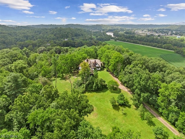 view of bird's eye view