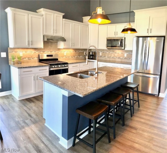 kitchen with stainless steel appliances, light wood-type flooring, a sink, and under cabinet range hood