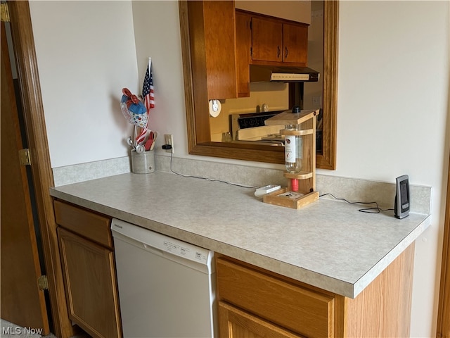 kitchen featuring dishwasher