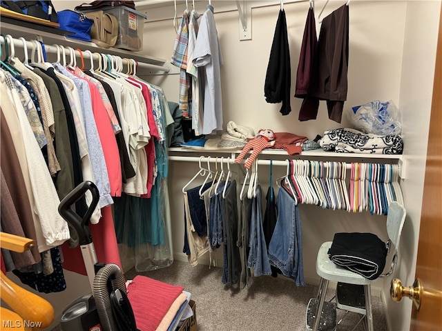 spacious closet featuring carpet flooring