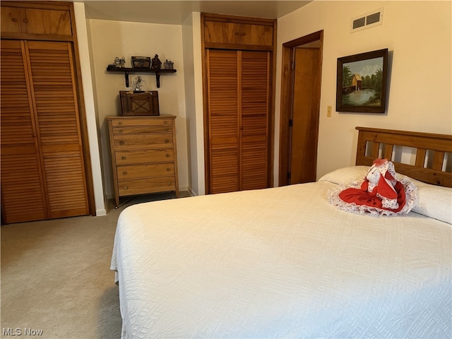 bedroom featuring carpet and a closet