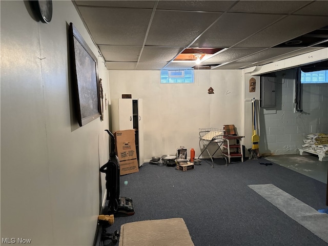 exercise room featuring carpet flooring, a paneled ceiling, electric panel, and a healthy amount of sunlight