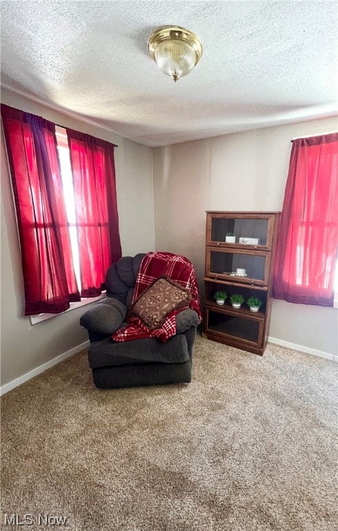 sitting room featuring a textured ceiling and carpet floors