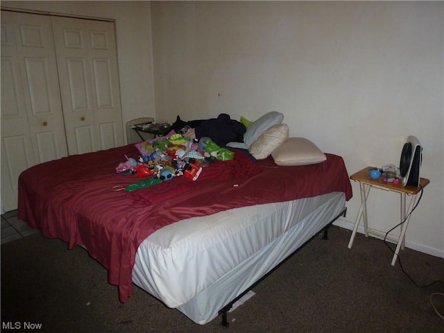 117A High St, Flushing, OH 43977 - bedroom with a closet and carpet flooring